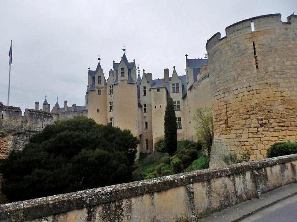 149 CHATEAU DE MONTREUIL BELLAY MAINE ET LOIRE 2016_000016.jpg